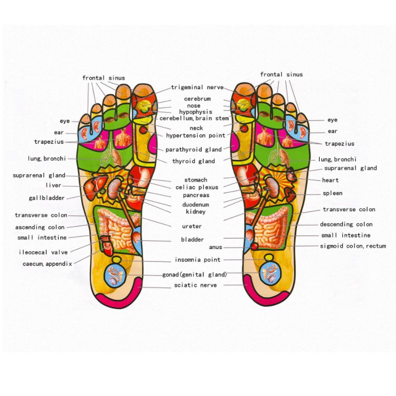 Máy matxa xung EMS Giảm Mỡ Bắp Chân Cầm Tay,Thư Giãn, Giảm Mệt Mỏi Phòng Chống Bệnh