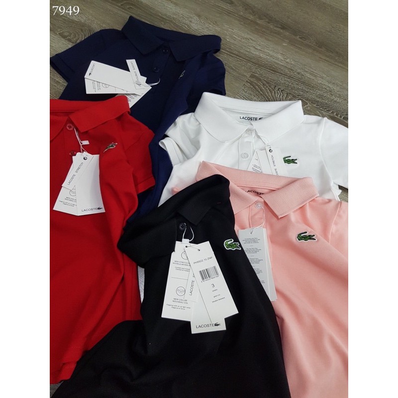 Áo polo Lacoste