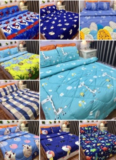 Chăn phao poly cotton 