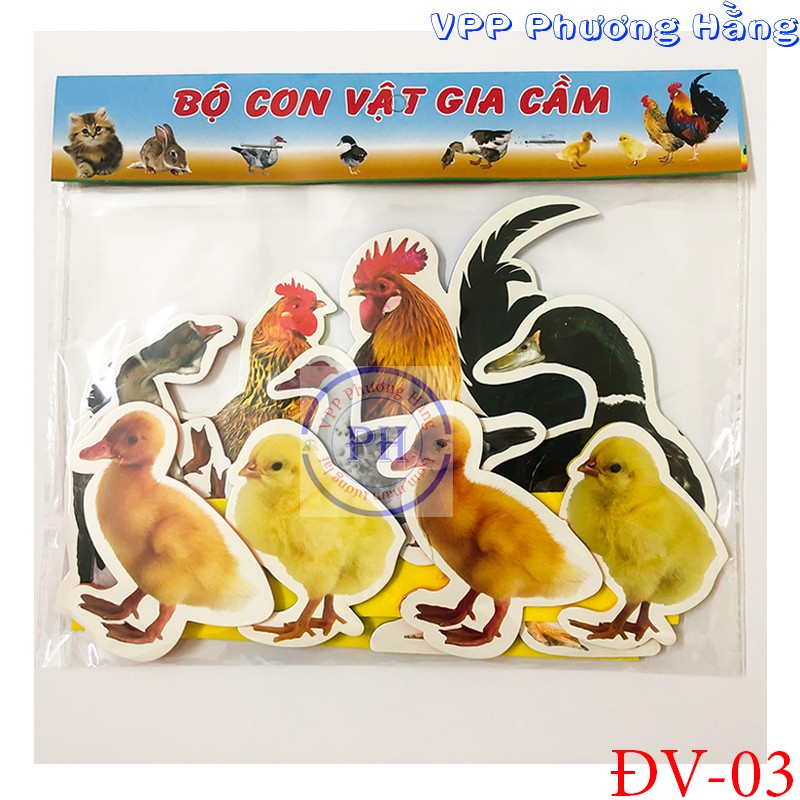 Bộ gia cầm - động vật nuôi. Dạy bé nhận biết con vật