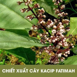 Dung dịch vệ sinh trầu không