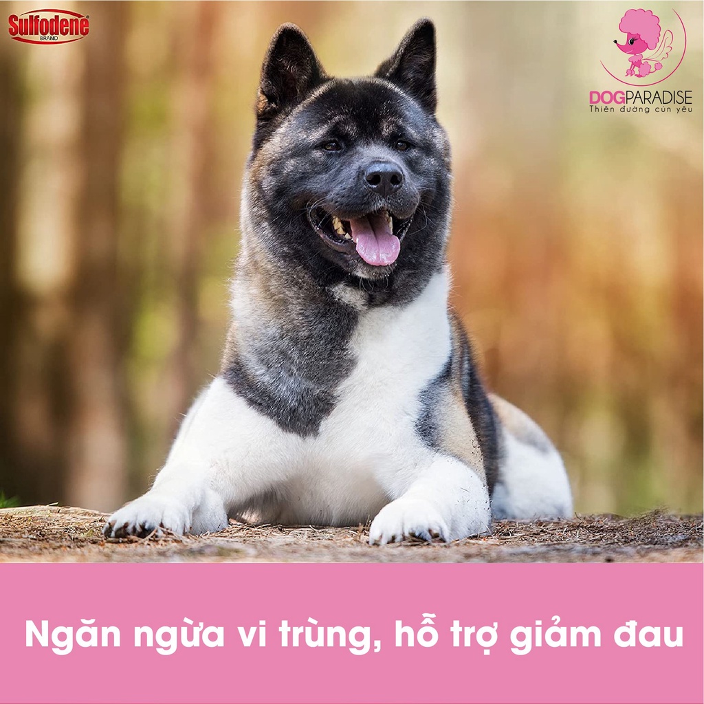 Kem chống và ngăn ngừa viêm da cho chó Sulfodene - Dog Paradise