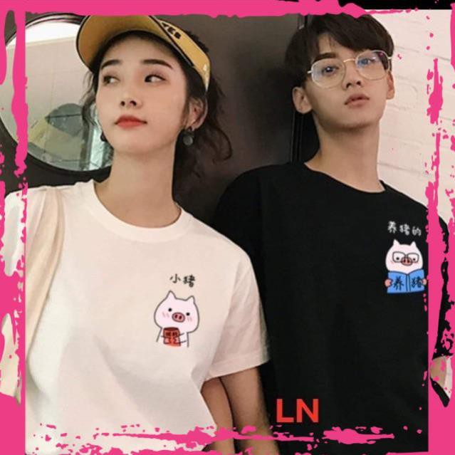 Áo đôi logo lợn đọc sách tici DA55