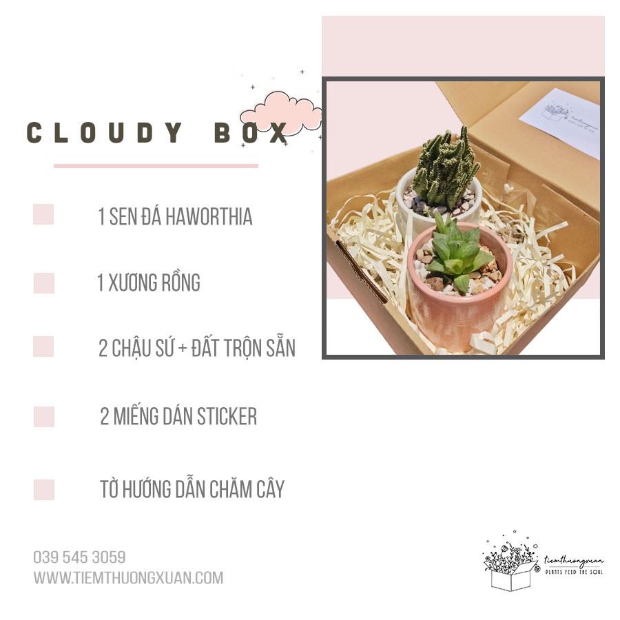 Cloudy Box - Combo sen đá, xương rồng - Quà sinh nhật