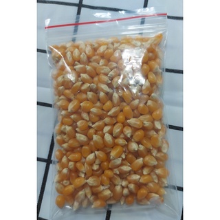 set bỏng ngô/bắp rang bơ + bơ