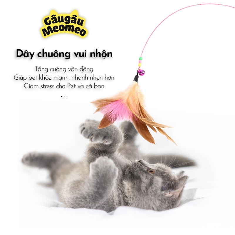 Đồ chơi cho mèo đuổi bắt Dây chuông vui nhộn
