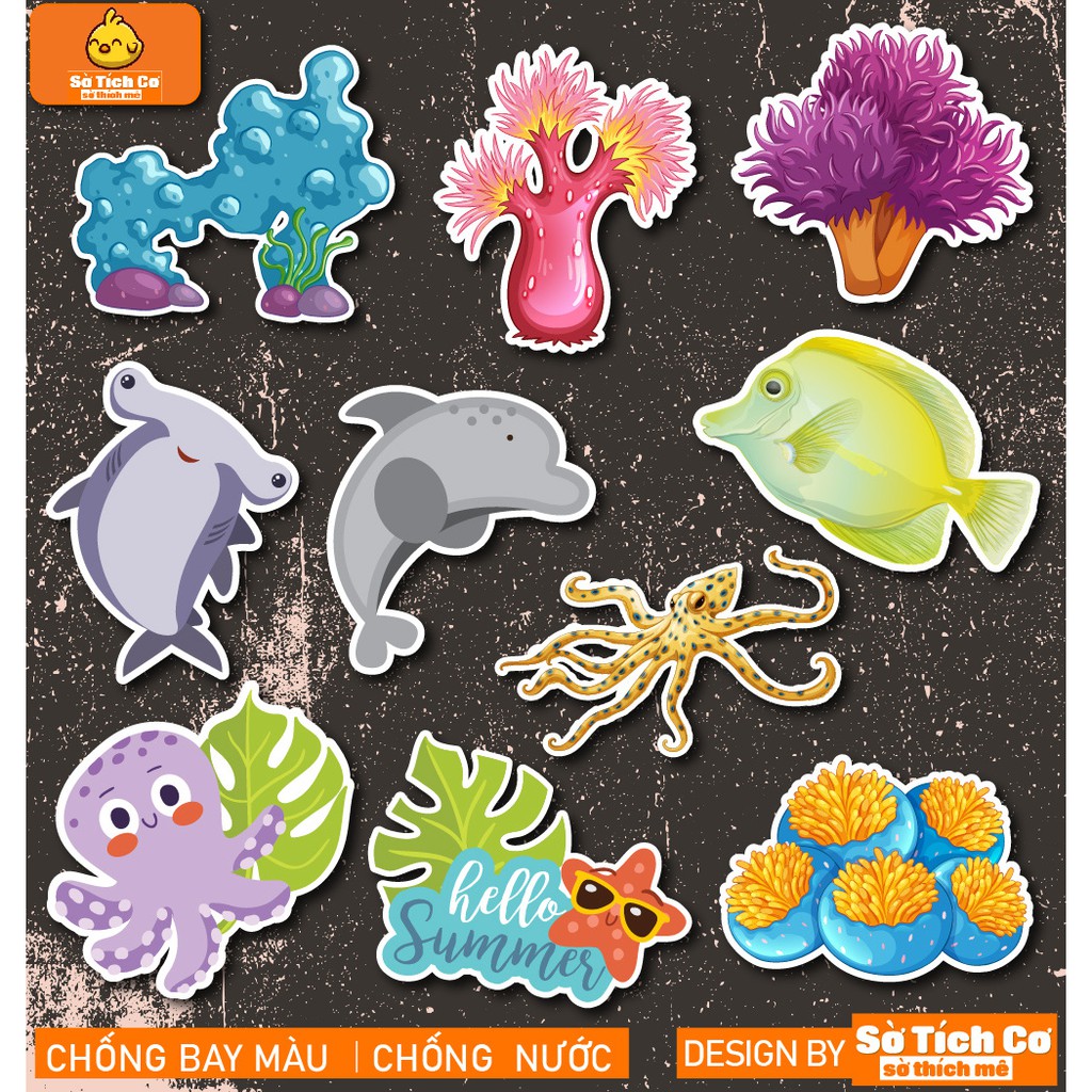 Động Vật Biển dán điện thoại, laptop, mũ bảo hiểm, guitar, vali MSP: A15