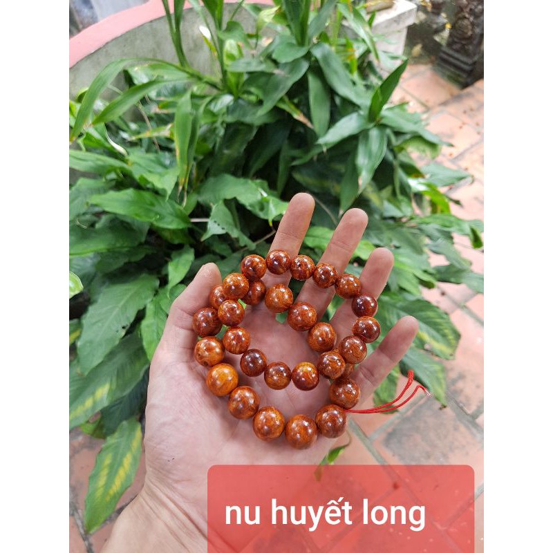 Vòng tay gỗ nu huyết Long