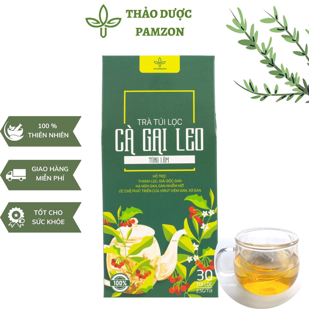 Trà Cà Gai Leo PAMZON Thanh Nhiệt Giải Độc Tăng Cường Chức Năng Gan (Hộp 30 Túi)