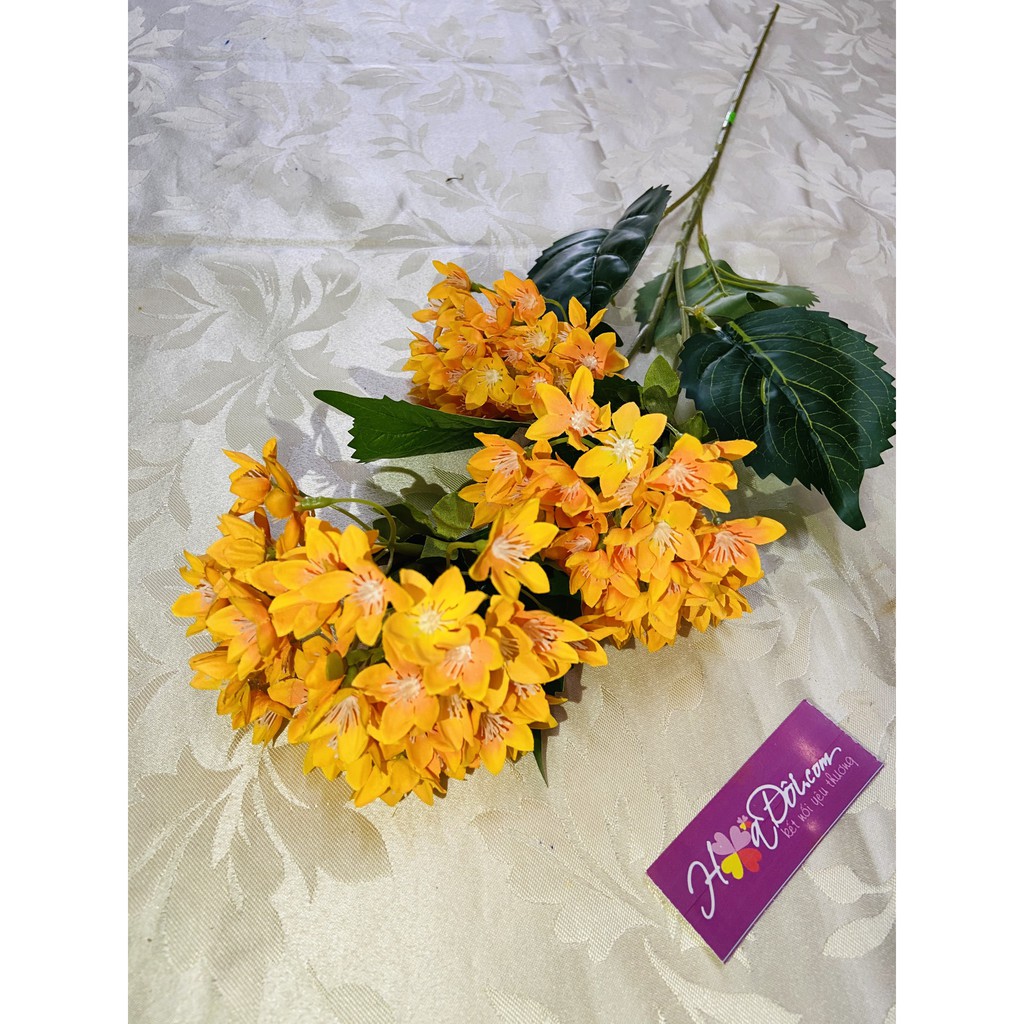 HOA VẢI LỤA, HOA CẨM TÚ CẦU