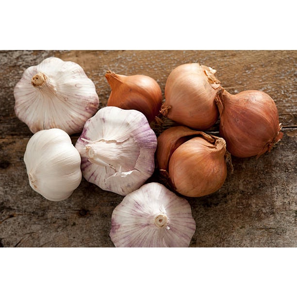 Hũ 40g bột hành tỏi - Onion and garlic mixture