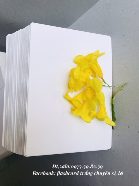 15x21cm thẻ flashcard TRẮNG BO GÓC SIÊU DÀY