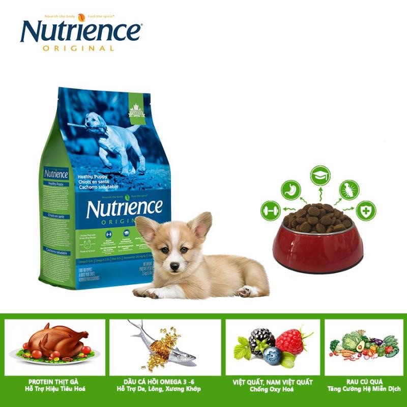Hạt Nutrience Cho Chó Con - Gà &amp; Rau Củ Quả