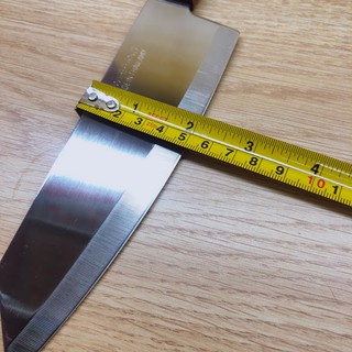 DAO KIWI 173