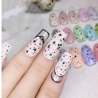 Top trứng cút B281, sơn trứng cút