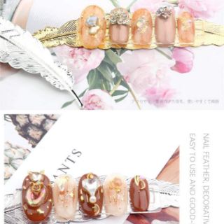 Lá mẫu chụp ảnh mẫu nail