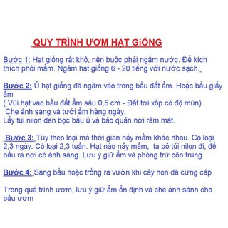 Hạt giống hoa Ngọc Thảo- Mai địa thảo kép MIX nhiều màu gói 20 hạt xuất xứ Đức
