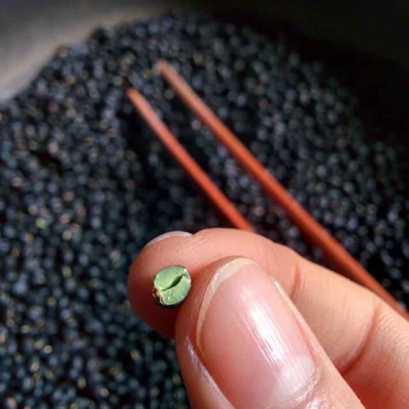 1kg Đỗ đen rang sẵn ( đỗ quê hạt nhỏ)