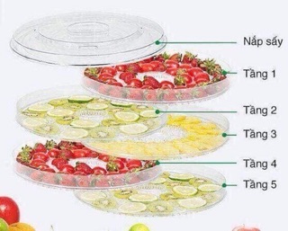 👍Máy sấy hoa quả