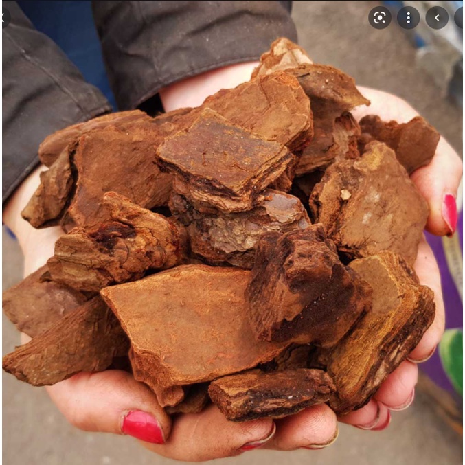 Vỏ Thông Mỹ Trồng Lan Gói 1dm