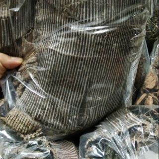 Sỉ như lẻ 1kg đỗ trọng