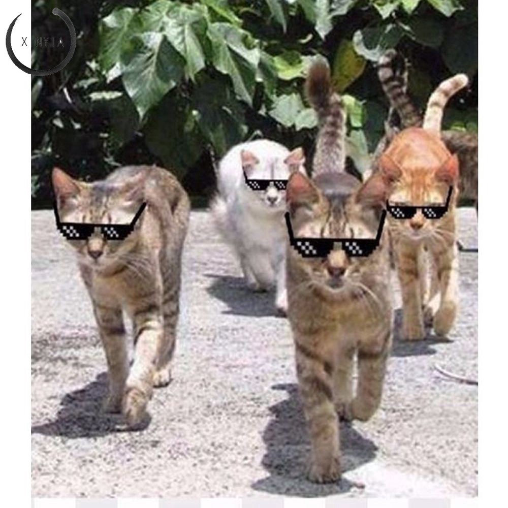 Kính Mát Thug Life 8bit 8 Bit / Thuglife | BigBuy360 - bigbuy360.vn