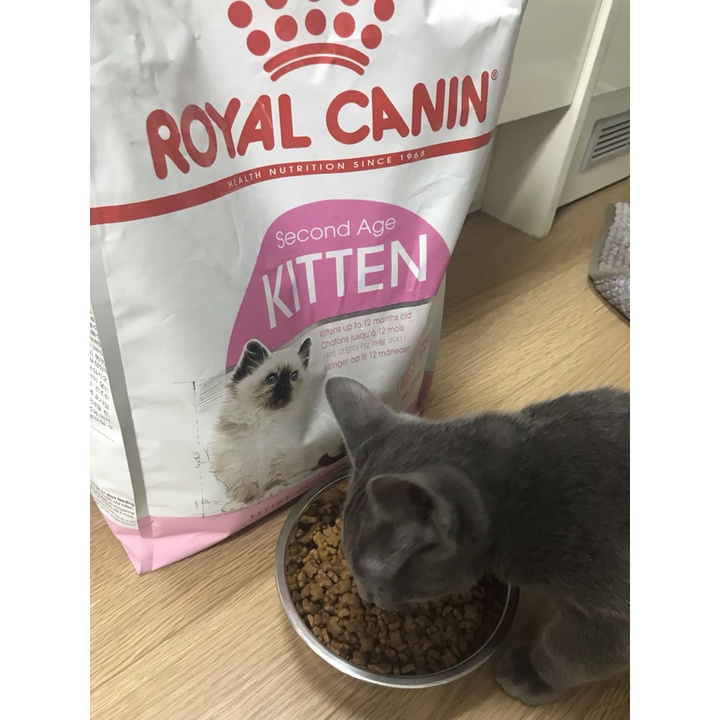 Hạt thức ăn cho mèo Royal Canin Kitten dành cho mèo từ 4 đén 12 tháng tuổi PET TOOLS