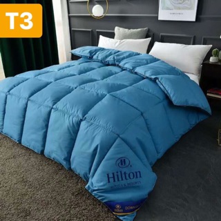 Ruột chăn lông vũ nhập khẩu hinton 2m*2m3