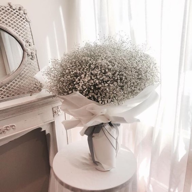 Hoa khô-hoa baby-hoa sao- quà tặng-sỉ-lẻ-tiệm hoa family flowers
