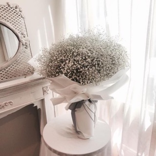 Hoa khô-hoa baby-hoa sao- quà tặng-sỉ-lẻ-tiệm hoa family flowers