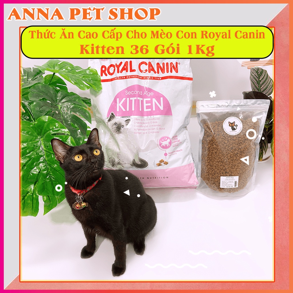Thức ăn cao cấp cho mèo kitten 36 1kg đóng gói túi zip