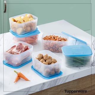 set hộp đông 650ml freezermate
