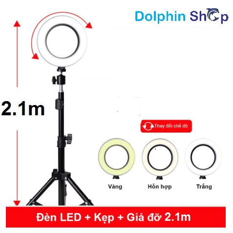 [Có Clip Size 20cm] Đèn Livestream Size 20cm Dành Cho Bán Hàng Online, Quần Áo, Makeup - Cây  live stream size 20