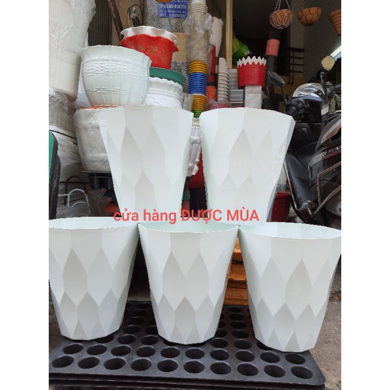 combo 2 chậu mắc lưới đường kính 25cm, cao 28cm.