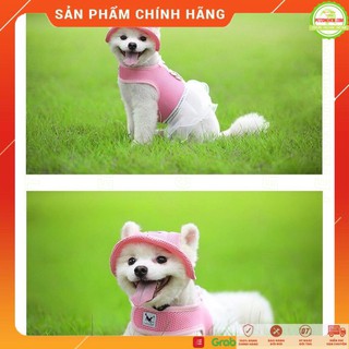 PetZoneHCM NÓN TAI BÈO CHO CHÓ MÈO - NÓN CHO THÚ CƯNG