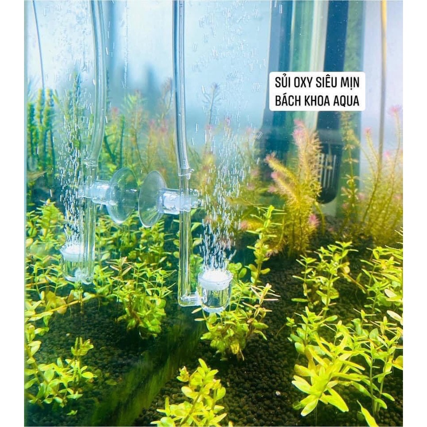 Đĩa sủi Oxy siêu mịn Acrylic 2cm-4cm-6cm