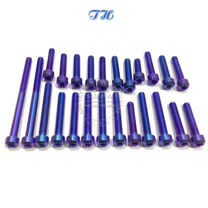 Full Bộ Ốc Gắn Lốc Máy  Gr5 Cho Xe Raider Xăng Cơ Màu Titan,  Lục Bảo ( 21 CON)