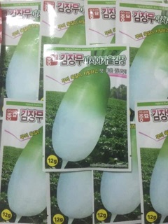 HẠT GIỐNG CỦ CẢI HÀN QUỐC NHẬP KHẨU HÀN