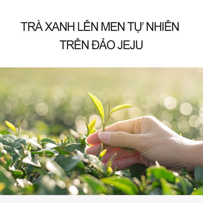 Nước Cân Bằng KOMBUCHA 80% TREATMENT