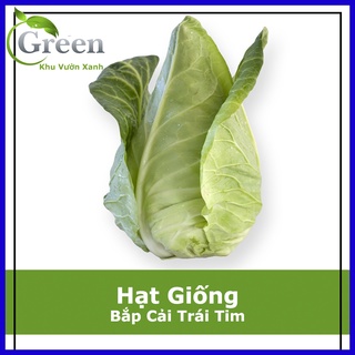 Hạt Giống Bắp Cải Trái Tim F1 Xuất Xứ Nhật (100H)