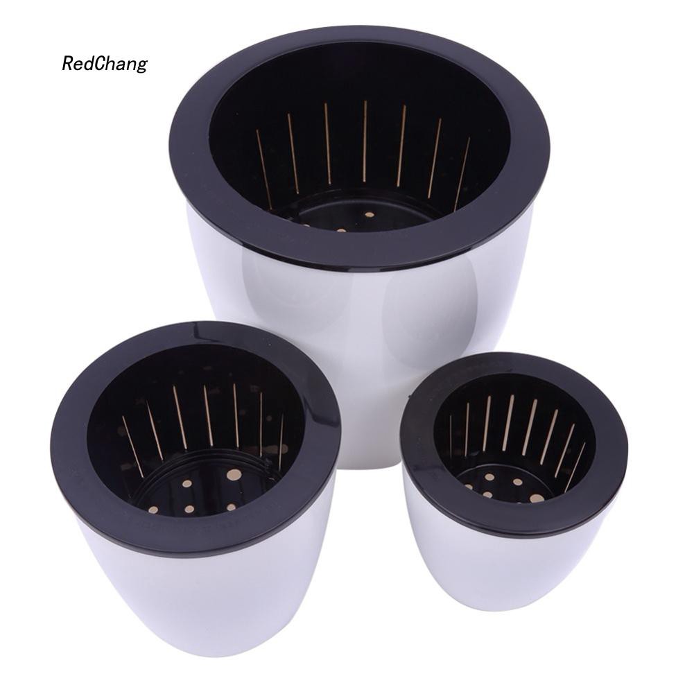 Chậu cây tự tưới nước dùng treo tường trang trí không gian