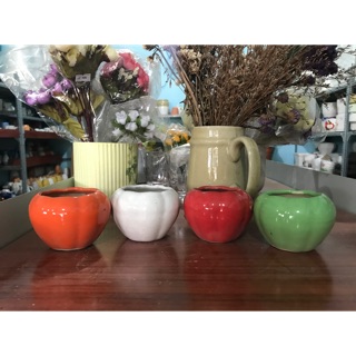 Chậu sứ trồng cây nhiều màu