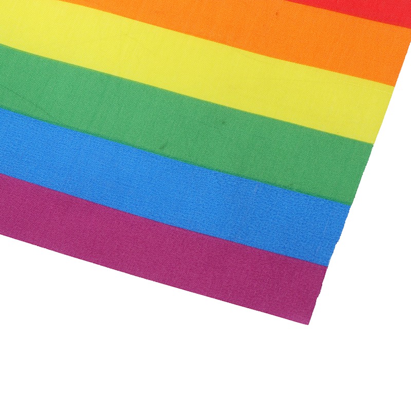Set 5 cờ màu cầu vồng LGBT cầm tay