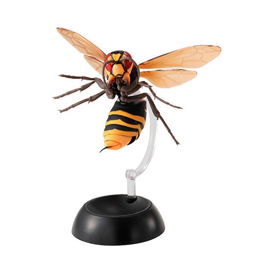 Mô hình trứng Gashapon Ong vò vẽ - Wasp - Hornet - Côn trùng