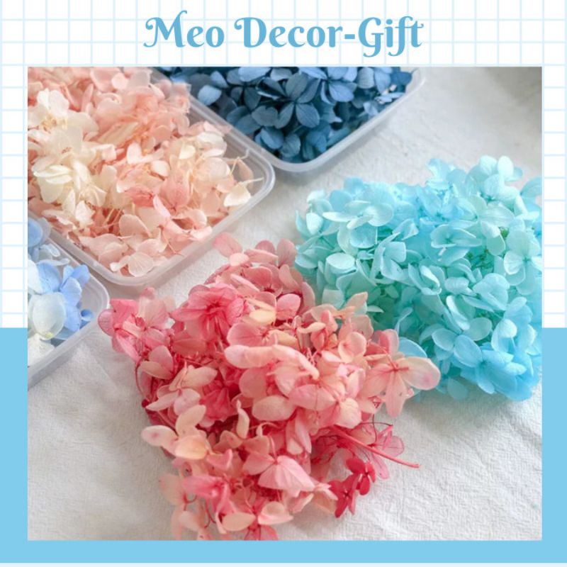 Hoa khô cẩm tú cầu làm resin- nail- nến thơm- make up cô dâu