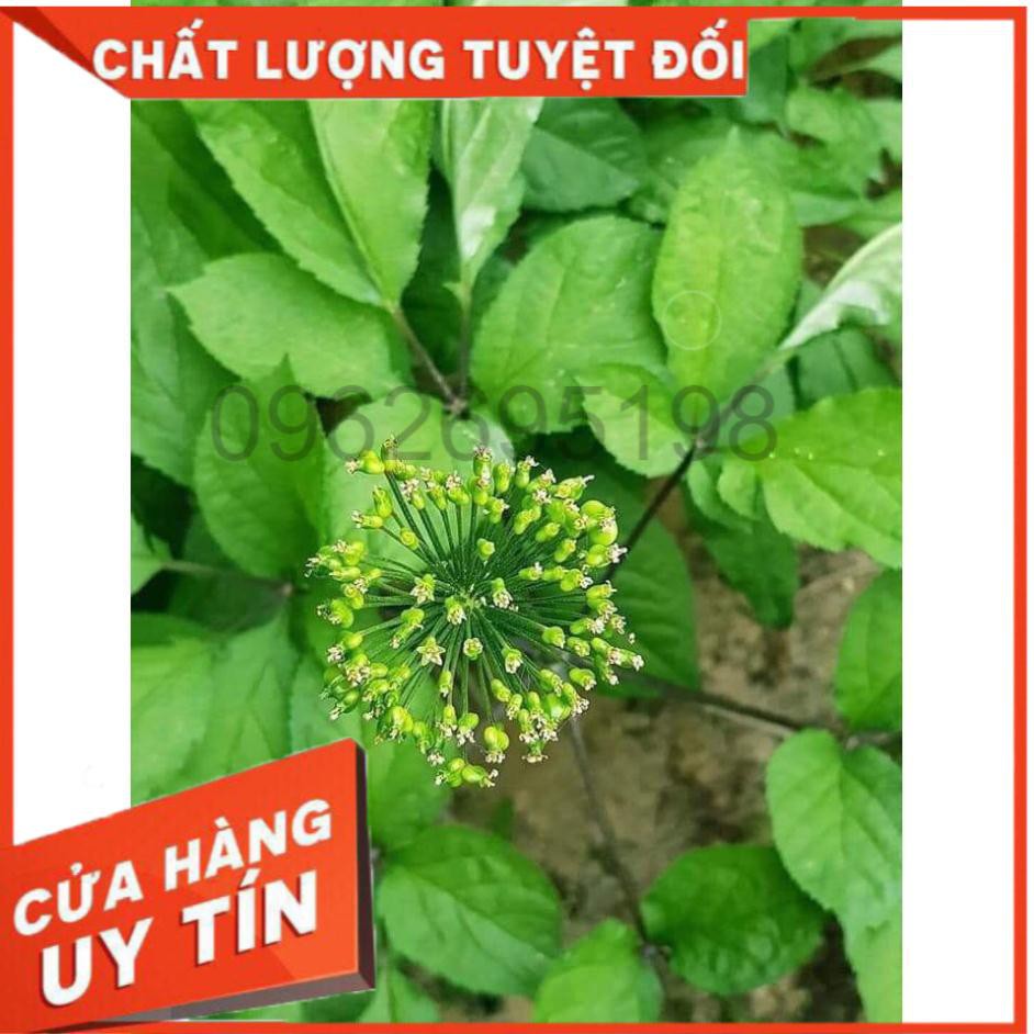 [HÀNG SẴN + ẢNH THẬT] Trà Hoa Nhân Sâm Hàn Quốc, Túi 500gr HOT