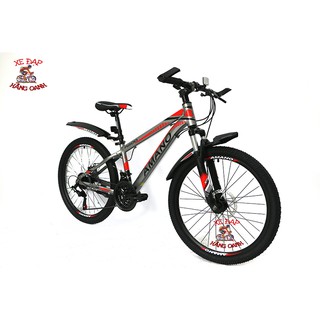 XE ĐẠP AMANO A200/200T