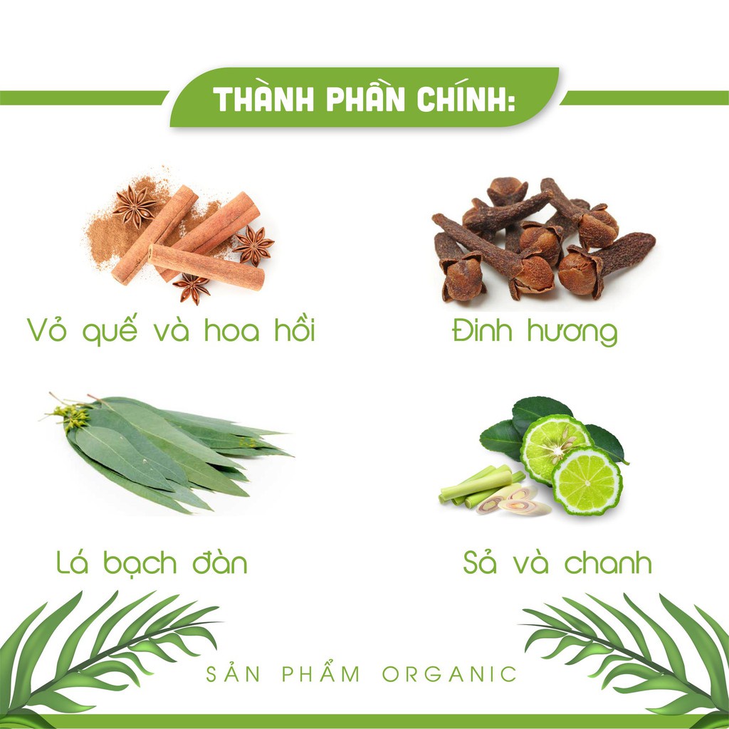 Nước lau bàn thờ cao cấp An An hương Quế 250ml, chuyên dụng lau bàn thờ, tinh chất quế và thảo mộc.