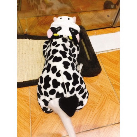 Áo Cosplay cho chó mèo