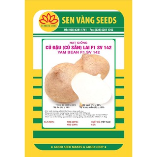 Gói 5Gr Hạt giống Củ Đậu (Củ Sắn) Lai F1 Năng suất cao Dễ trồng